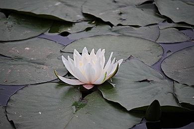 《铁血机甲：反攻》全球登陆Steam、Xbox、PlayStation、NintendoSwitch